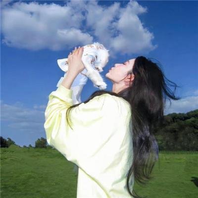 红鹰战士：天空的守护者